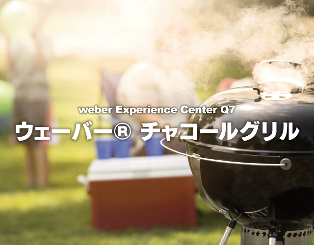 ウェーバー(Weber) 鋳鉄製グリドル(鉄板) スピリット II バーナー用 7658 通販