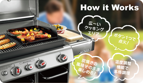 ガスbbqグリル Weber ウェーバー 正規輸入代理店 Elg